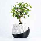 Weave Planter