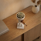 violinist Planter