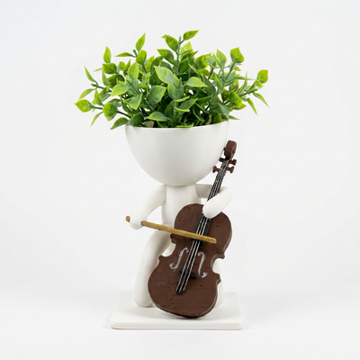 Cello Planter