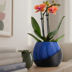 Bloomcrest planter