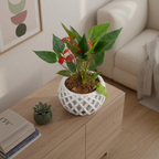 Connected Planter