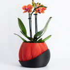 Bloomcrest planter