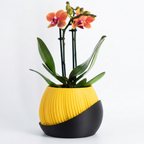 Bloomcrest planter