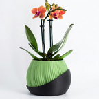 Bloomcrest planter