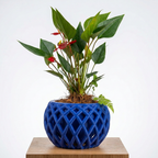 Connected Planter