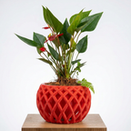 Connected Planter